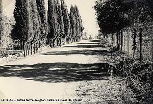Palica - Le Telagh 023